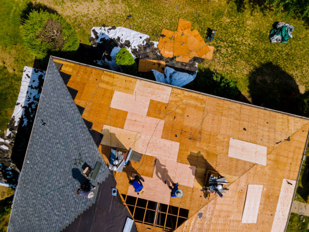 Roof Gutter Cleaning in Morton, MS